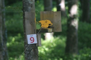 IMG_8642